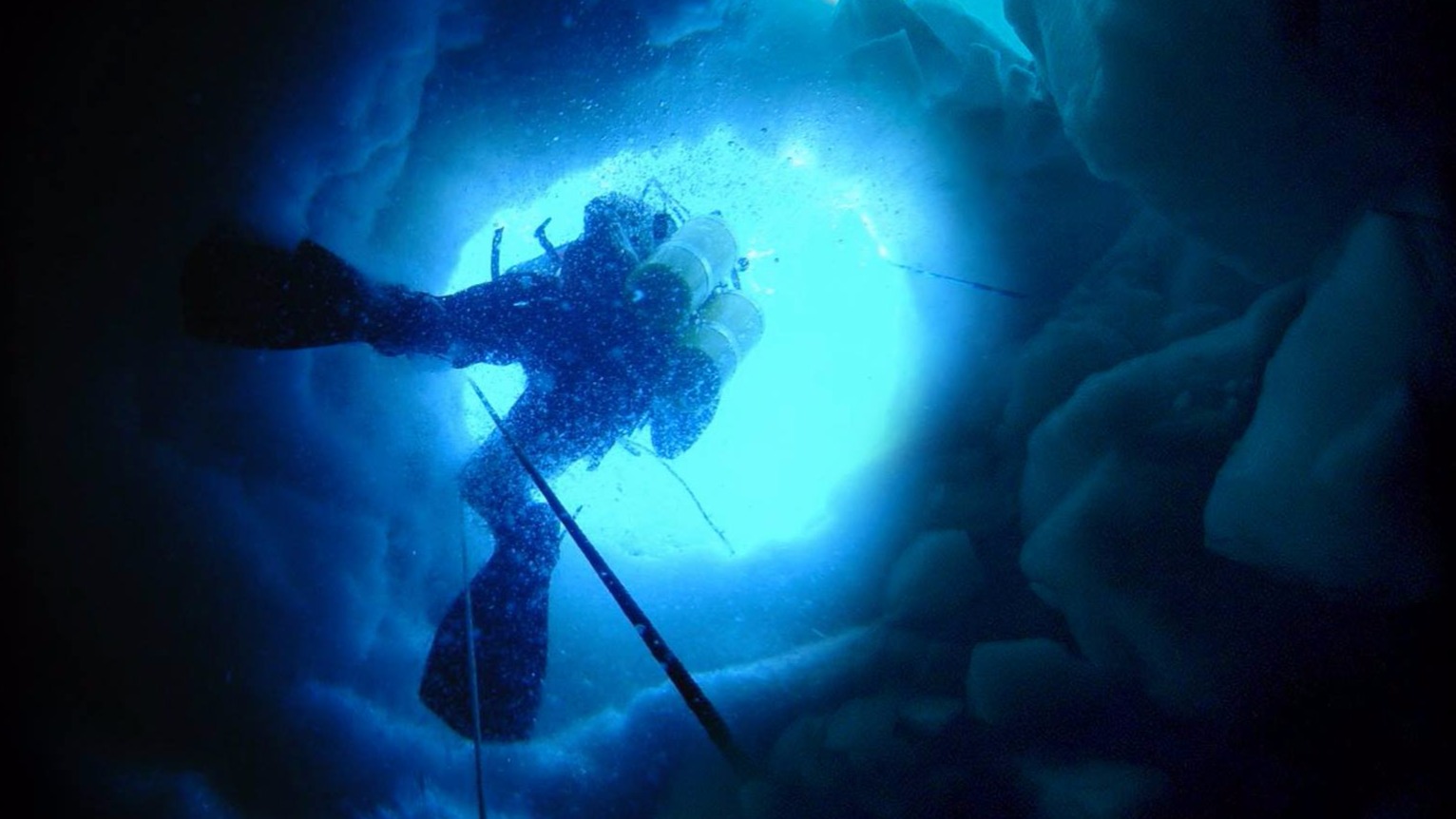 Duikers duiken onder de Ross-ijsplaat op Antarctica, het grootste ijsplateau ter wereld