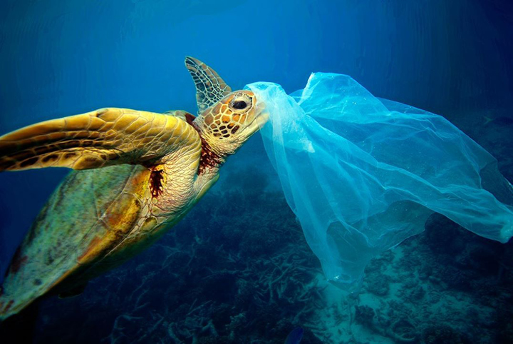 Oproep voor verbod op plastic tasjes Curacao