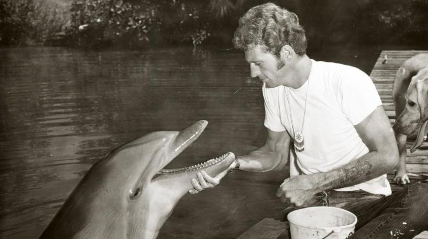 “Het is onaanvaardbaar om dolfijnen te gebruiken voor entertainment”