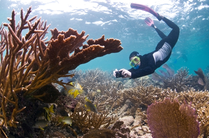 Belize: permanent verbod op olieboringen rond enorm koraalrif