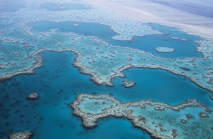 Weer een bedreiging voor koraalriffen aangekaart: erosie