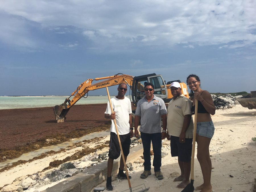 Bonairianen schieten massaal te hulp bij opruimactie sargassum