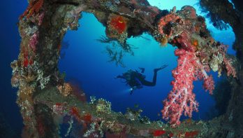 Bekendste duiksite van Indonesië Liberty wreck in Bali