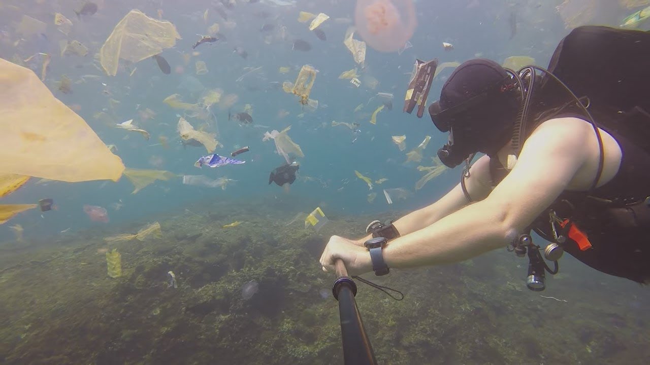 Duiker zoekt manta’s maar zwemt tussen plastic soep