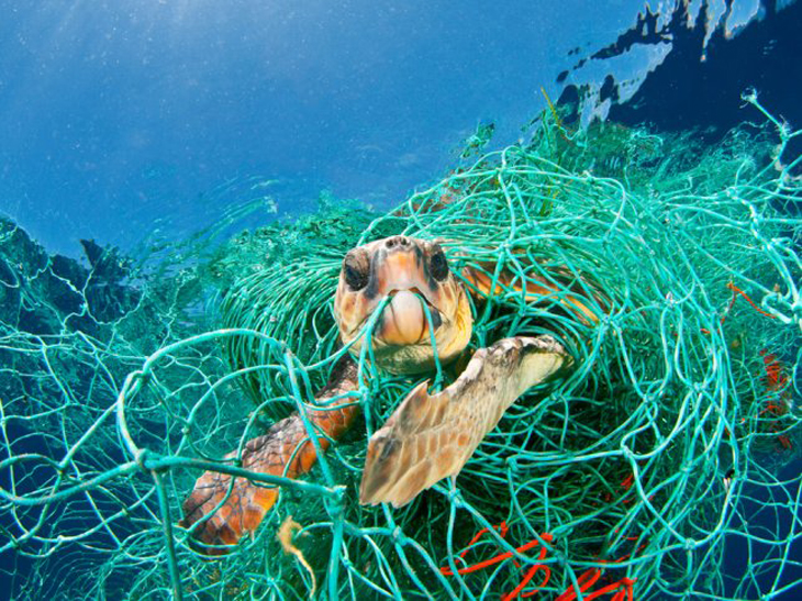 De Middellandse Zee dreigt ‘zee van plastic’ te worden
