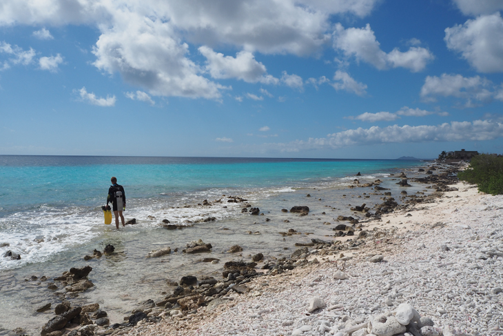 Een Drive – or dive – Thru op Bonaire