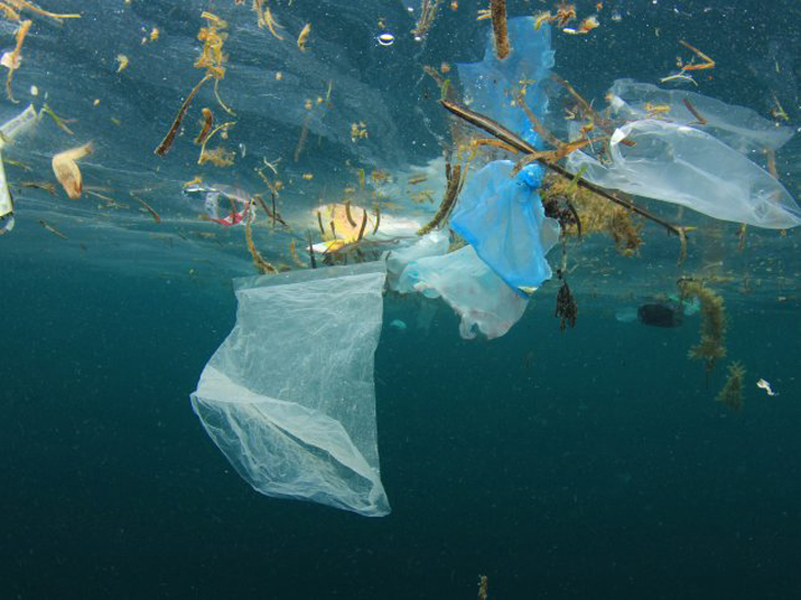 Plastic free ocean programma – ondernemers strijden tegen plasticvervuiling