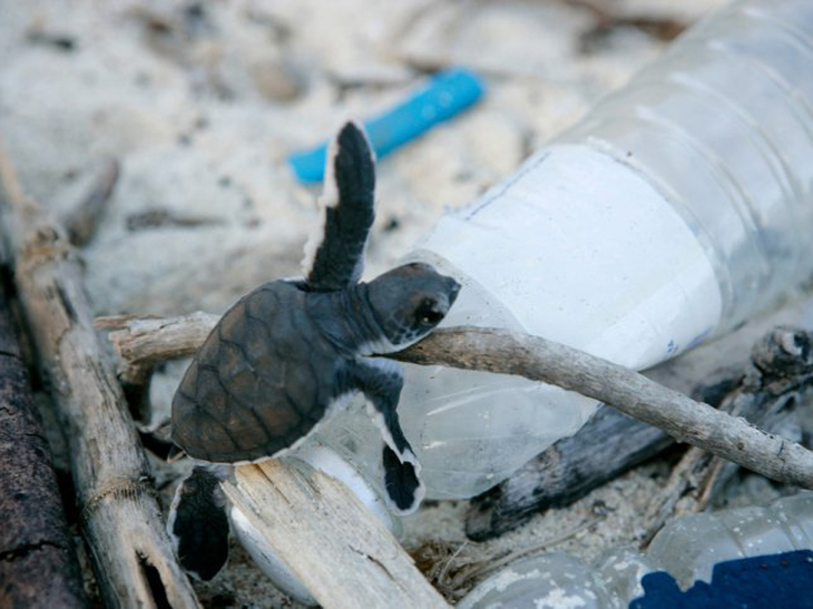 Onderzoek naar herkomst plasticvervuiling op Bonaire