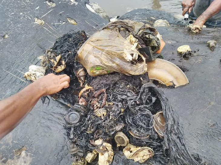 Hartverscheurend beeld; zes kilo plastic in maag dode potvis