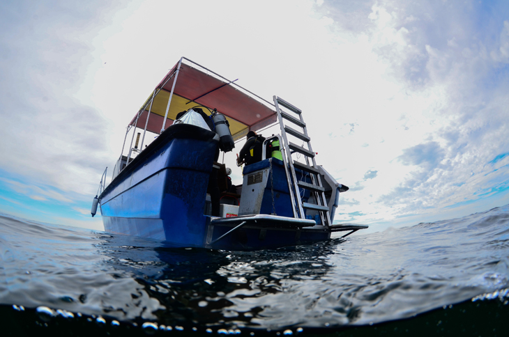 Dutch Scuba Divers: «Een eigen duikschool in Spanje is altijd al een droom geweest»