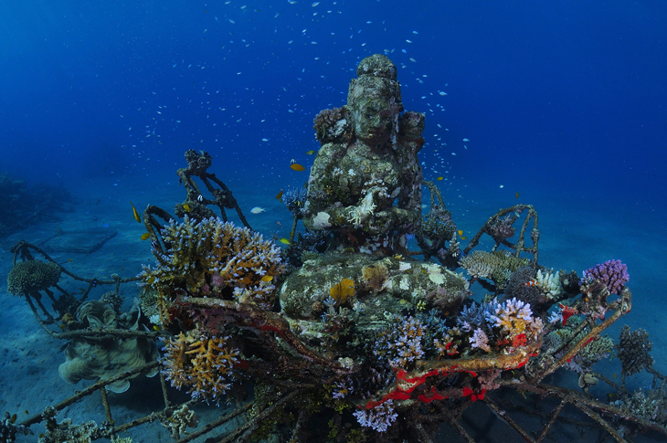 koraalriffen