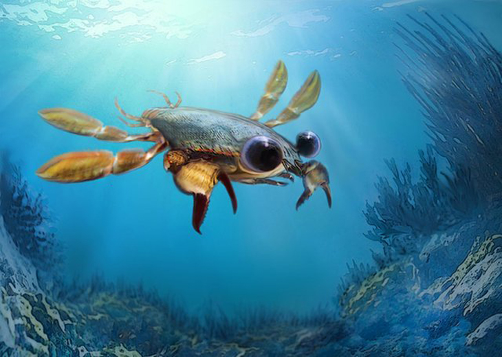 Bizarre krab ontdekt in 95 miljoen jaar oud fossiel