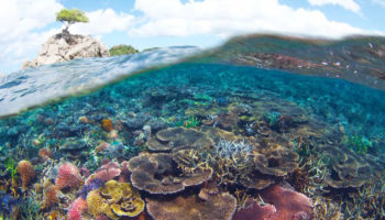 Drie nieuwe beschermde zeegebieden in Indonesië