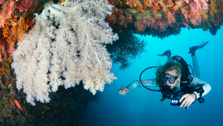 Zo maak je indrukwekkende onderwaterfoto’s