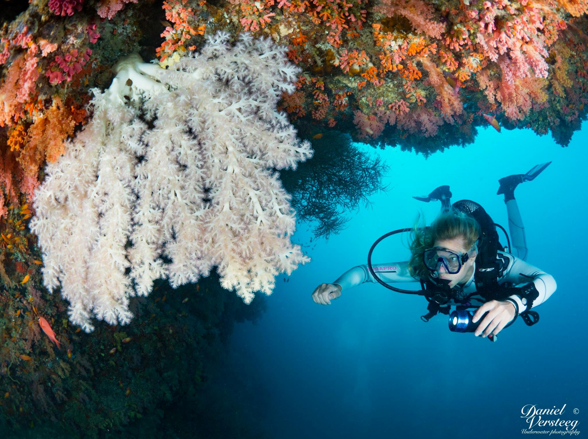 Malediven zacht koraal wit