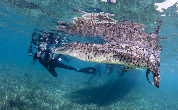 Snorkelen met krokodillen in Cuba met Avalon