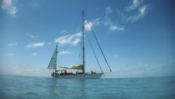 Tonga