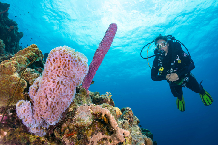 Divers Paradise Bonaire biedt 24/7 duiken