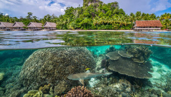 Raja4Divers