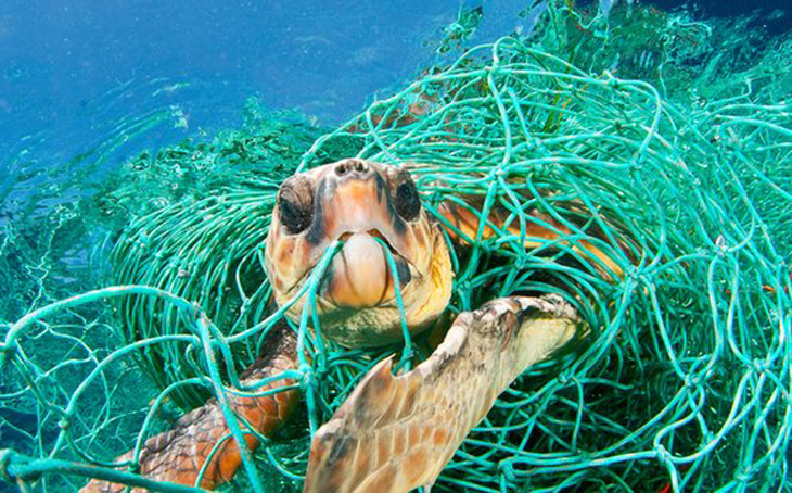 Leden IUCN keuren motie goed: EU moet bijvangst van zeeschildpadden verminderen