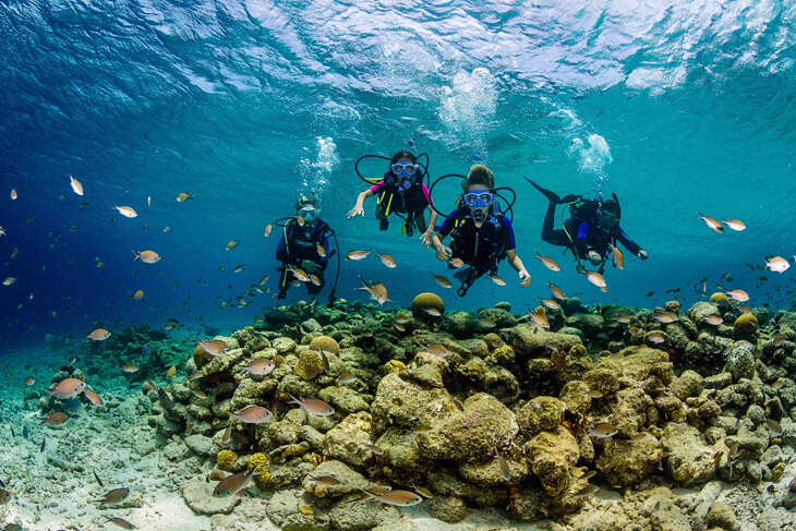 Bonaire, ‘The place to be’ voor beginner of gevorderde duikers!