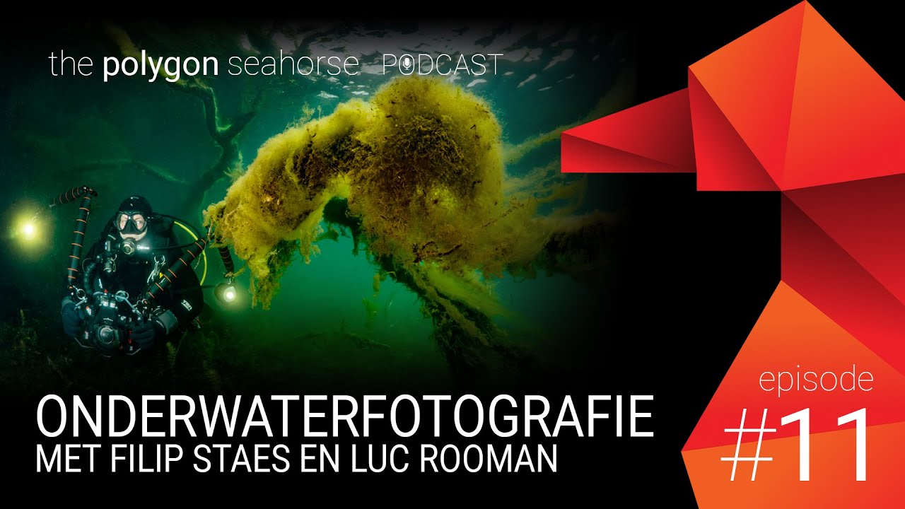 Podcast: Onderwaterfotografie met Filip Staes en Luc Rooman