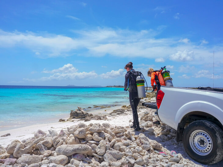 6 vakantietips van Buddy Dive Resort Bonaire