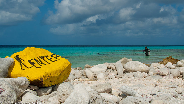 Top 5 Bonaire duikspots met een unieke naam