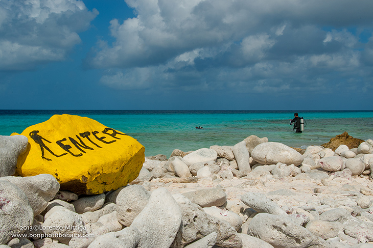 Top 5 Bonaire duikspots met een unieke naam