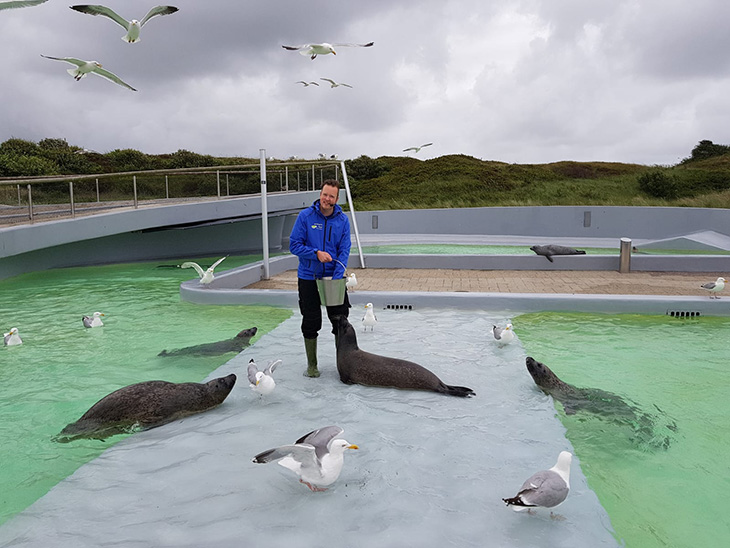 Ecomare Texel: bijzondere zwarte zeehond in de opvang