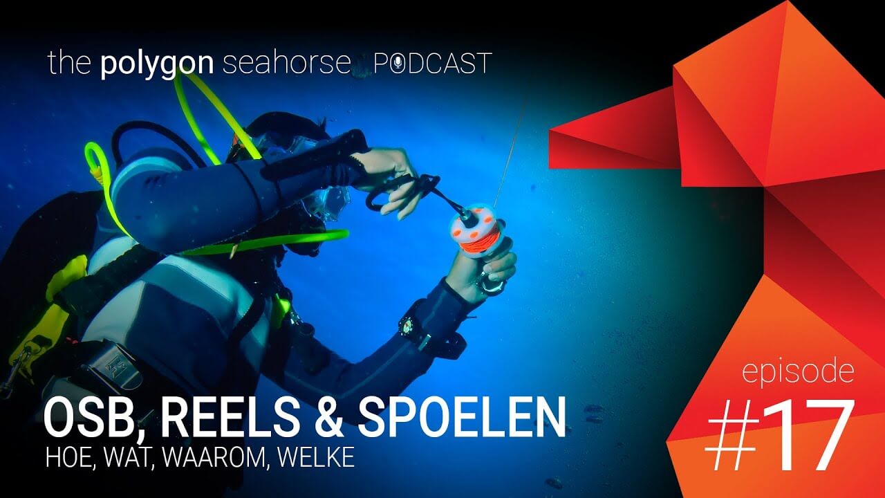 Podcast: OSB, Reels & Spoelen • wat, hoe, waarom, welke