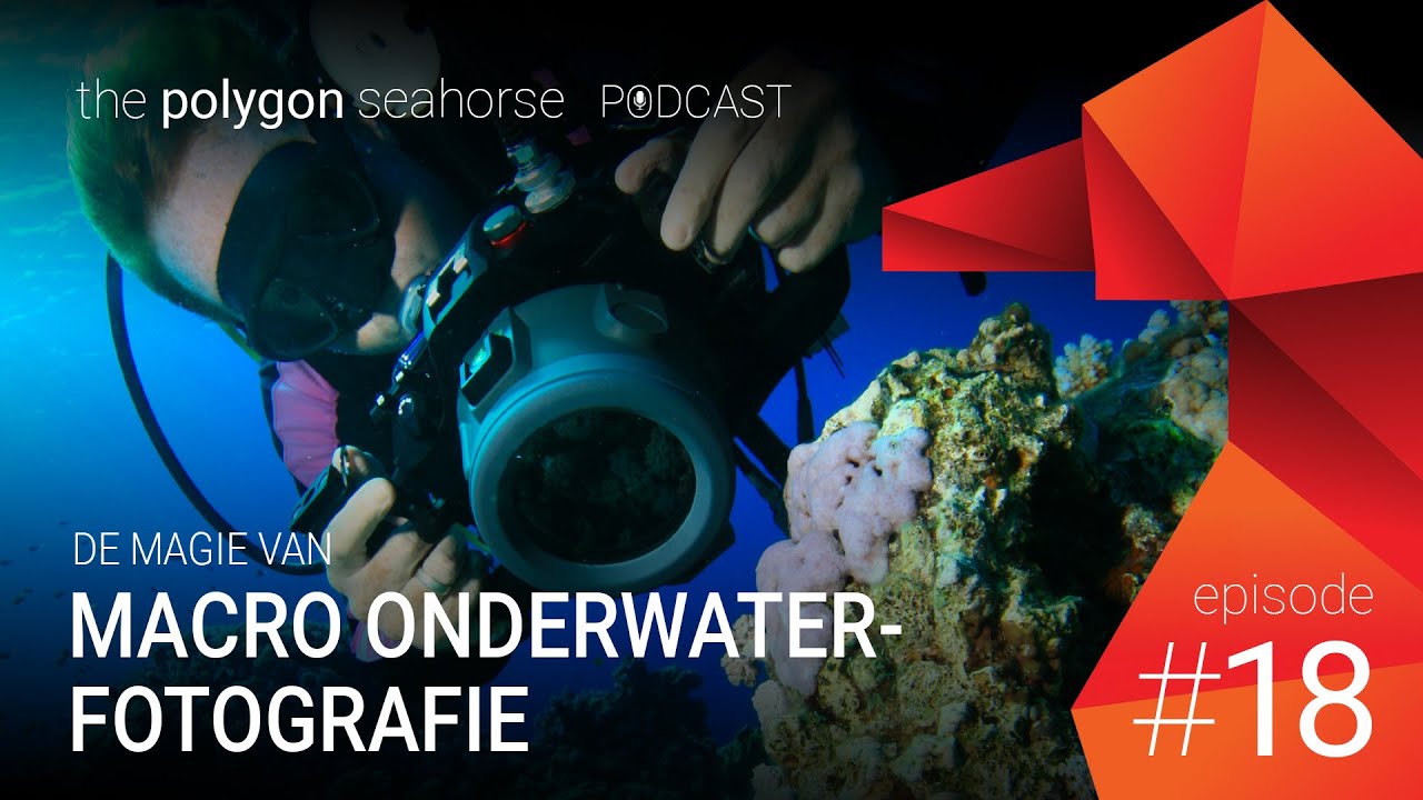 Podcast: De magie van marco onderwaterfotografie
