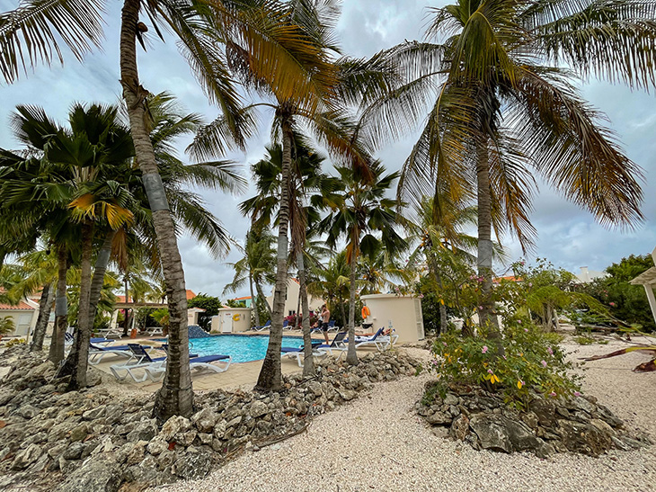 Bij Hamlet Oasis Resort zit je goed voor een relaxte duikvakantie op Bonaire