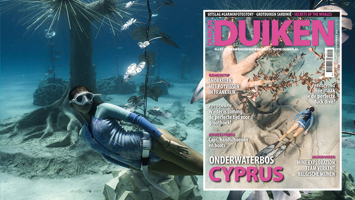 DUIKEN NOVEMBER: Onderwaterbos Cyprus