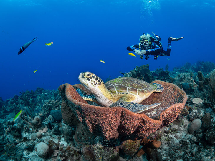 5 redenen waarom Kunuku Aqua Resort Curaçao geweldig is!