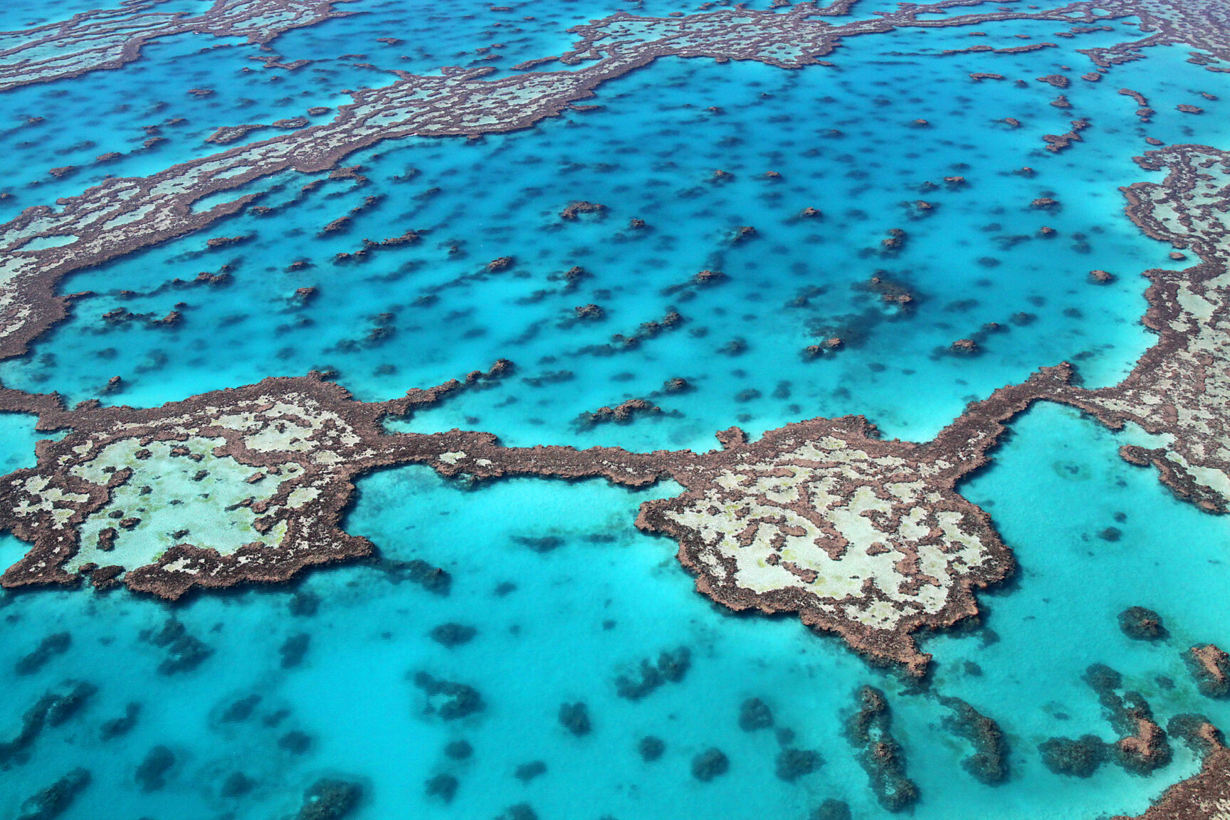 Verbod steenkolenmijn in verband met mogelijke schade aan Great Barrier Reef, Australië