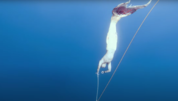 freediving meerman
