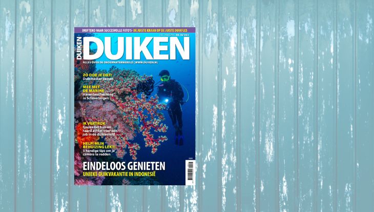 cover van Duiken juni 2025