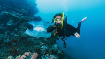 Duiker met snorkel