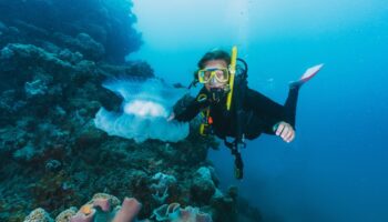 Duiker met snorkel