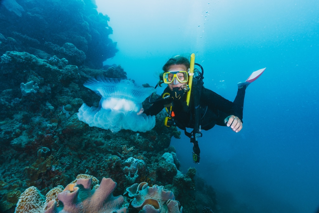 Snorkel mee met de duik: onmisbaar of overbodig?